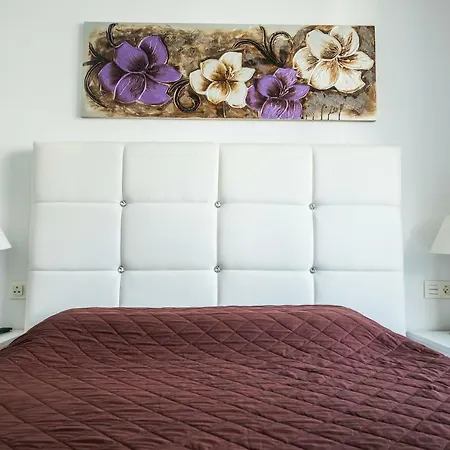 Apartment Dos En Playa De Las Americas Arona (Tenerife)